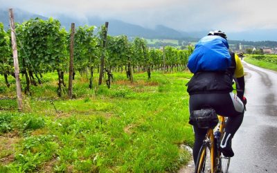 penedes cycling and wine tasting